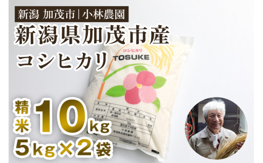 【令和7年度産新米】加茂市小林農園のコシヒカリ 10kg（5kg×2袋）《順次出荷》 新潟産コシヒカリ お米 精米 料亭や割烹でも愛される従来品種 加茂市 小林農園