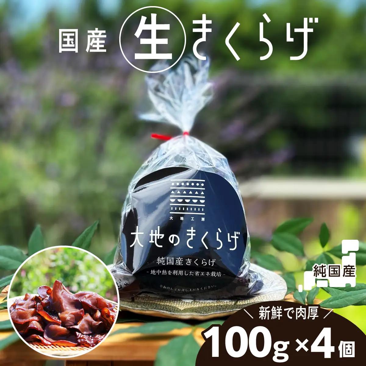 国産 生きくらげ 400g 大地のきくらげ
