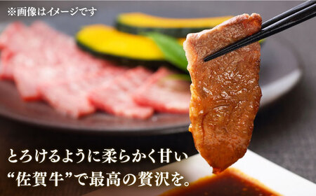 【定期便】 牛肉 佐賀牛 焼肉用 A5 総計4.8kg NAB031 牛肉 全12回