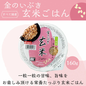 金のいぶき玄米ごはん 160g×24個 お米 レトルト 食品 無添加 国産 レンジで簡単 温めるだけ ギフト 引っ越し 挨拶 出産 内祝い お歳暮 備蓄米