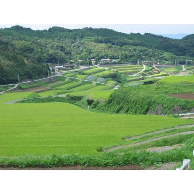 ふるさと納税 長崎県 雲仙ブランド認定商品　「西郷米」白米　2kg |  | 01