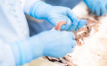 あんちょび入りじゃこのオイル漬け＜６本＞セット【IS018_x】