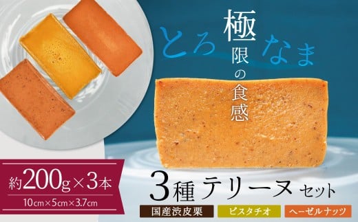 【テリーヌ専門店L】（約２００g）国産栗・ピスタチオ・ヘーゼルナッツ3種のテリーヌセット【グルテンフリー・保存料不使用】 お菓子 洋菓子 スイーツ デザート ナッツ ホワイトチョコ マロン H173-050
