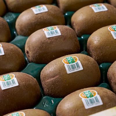 ふるさと納税 桂川町 【先行受付】福岡産ブランドキウイ・甘うぃ24-30玉箱(約3kg)(桂川町) |  | 01