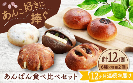 【12回定期便】 あんこ好きの食べ比べ 12個セット 【パンの店 カッタン】 パン あんぱん 大人気店[MEJ012]