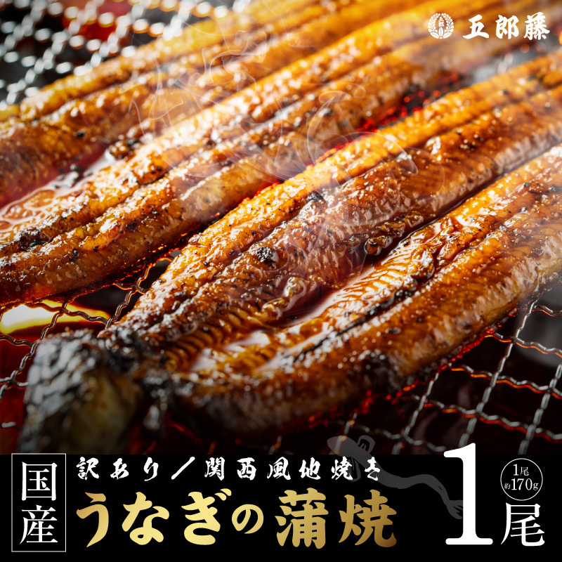 【訳あり】老舗「五郎藤」関西風地焼き 国産有頭旨鰻 170g前後×1尾 うなぎ ウナギ 蒲焼き 炭火 099H5075