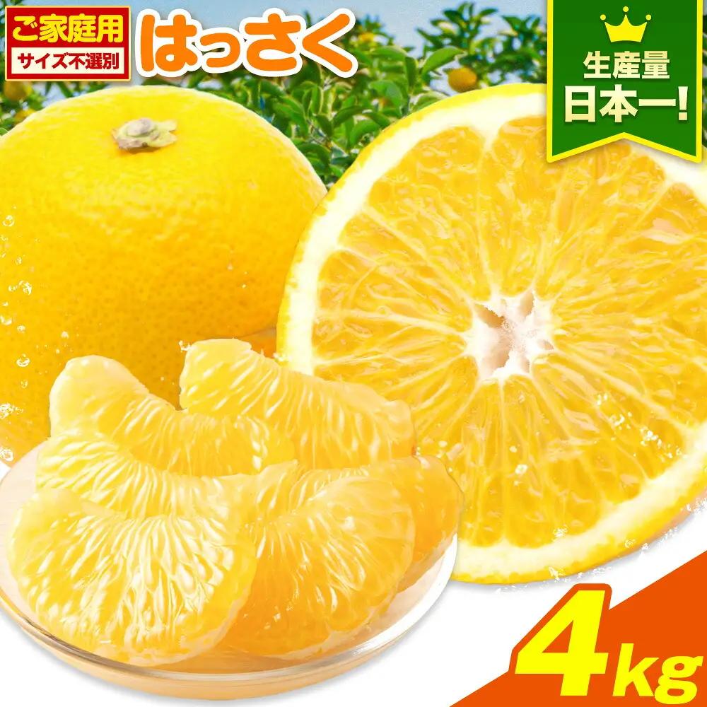八朔 はっさく 約4kg