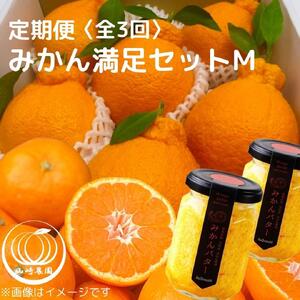 みかん満足セットM | 定期便 全3回 フルーツ みかん 不知火 バター 12月～2月
