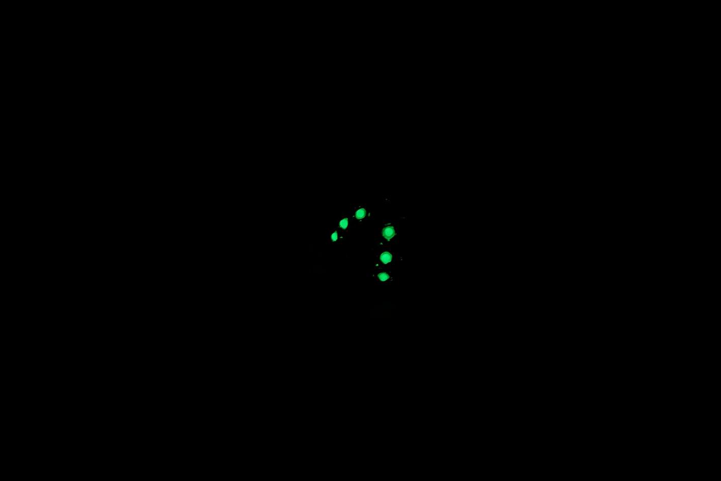 
『輝石の光』ルナウェア てんとう虫タックピン スワロフスキー使用 蓄光アクセサリー 光るアクセサリー 夜光

