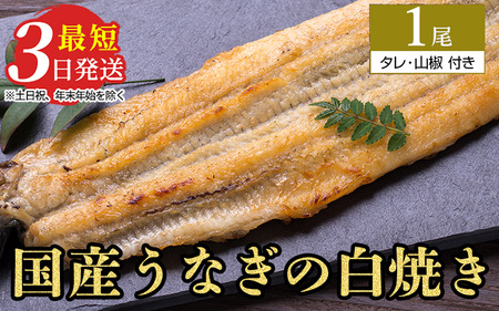 うなぎ白焼き　1尾（140g～150g×1尾） | メディアに紹介されたうなぎ屋 国産 冷蔵 うなぎ 鰻 ウナギ タレ・山椒つき しら焼き