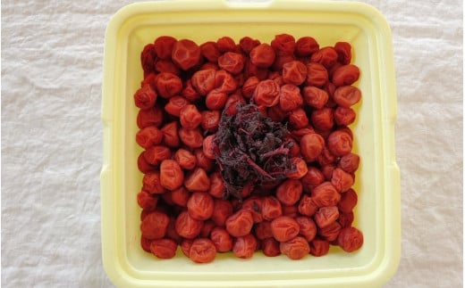 ＼レビューキャンペーン中／ 紀州小梅　しそ小梅（塩分13％）　4kg(2kg×2個）  / 田辺市 紀州南高梅 南高梅 梅干し 梅干 梅  肉厚 お米 おにぎり 焼酎 梅酒 健康 小梅 【ske049