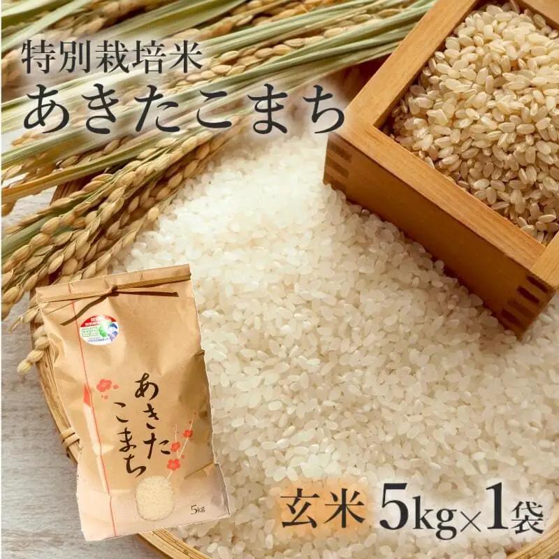 令和7年産 玄米 特別栽培米 あきたこまち 秋田県産 玄米【5kg】