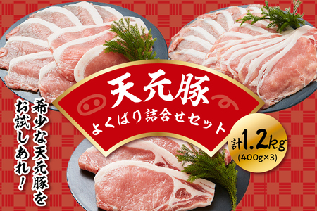 豚肉 天元豚 よくばり 詰合せ セット 計1.2kg