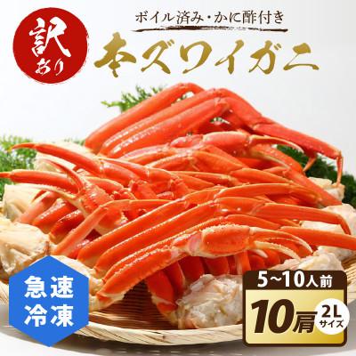ふるさと納税 京丹後市 【訳あり!かに酢付き】急速冷凍ボイル済み 本ズワイガニ 2Lサイズ10肩 ずわい蟹足 やわらかい蟹肉