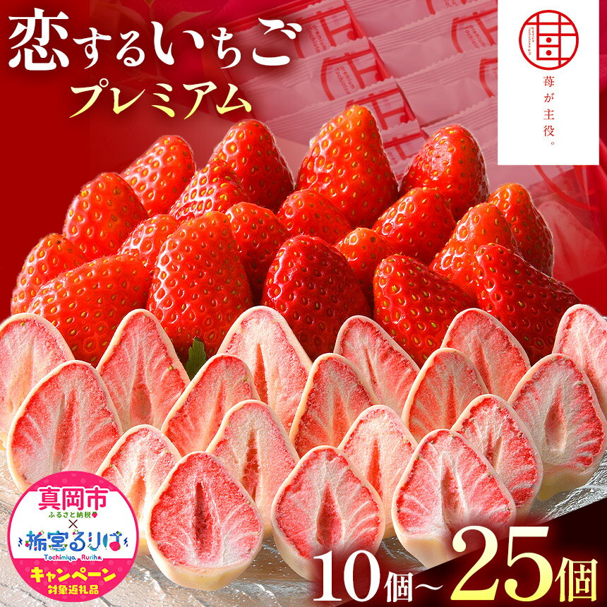 【ふるさと納税】苺が主役。 恋するいちごプレミアム 選べる 個数｜10個 15個 25個 いちご お菓子 チョコレート 特産品 栃木県 真岡市 苺 チョコ おかし おやつ お土産 ストロベリー チョコ スイーツ 送料無料 人気 かわいい おすすめ（クラウドファンディング対象）