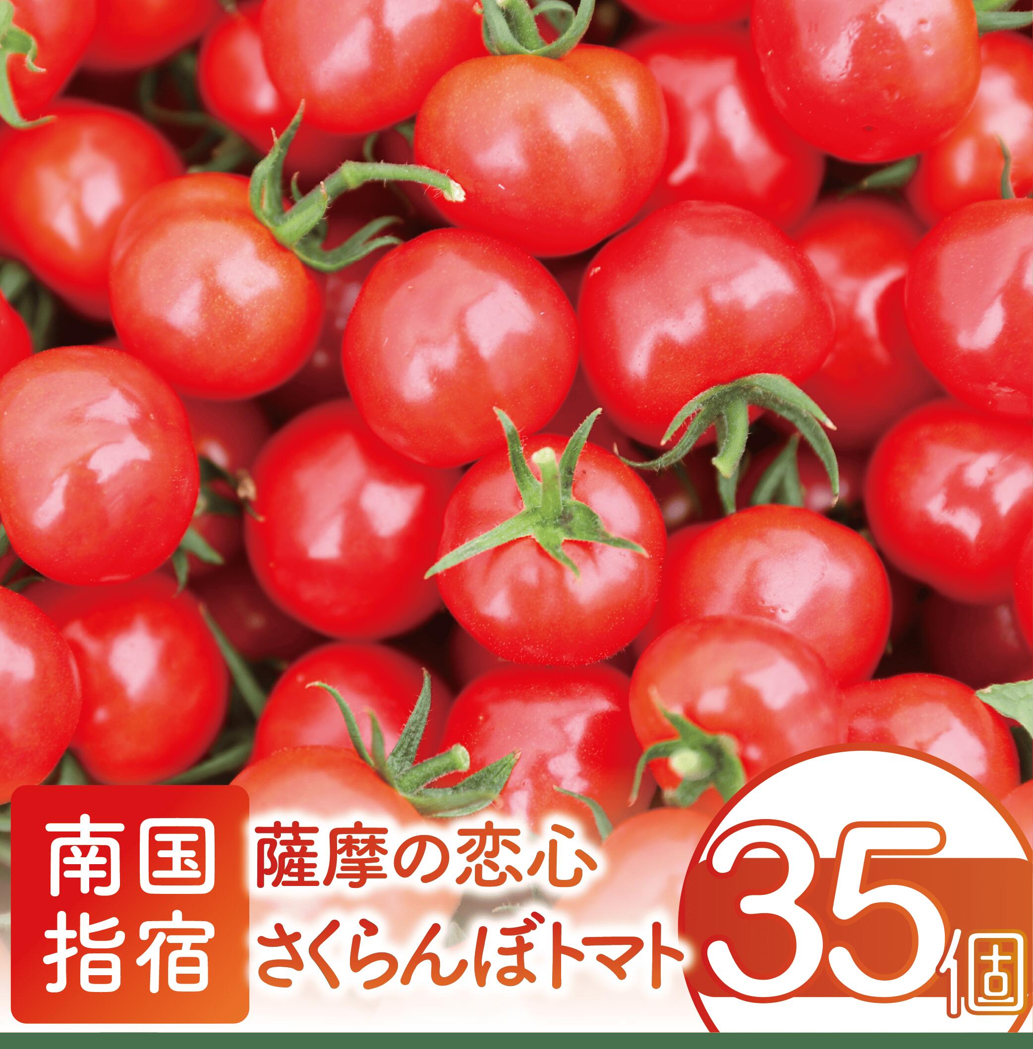 【ふるさと納税】＜先行予約受付中！2025年12月上旬以降順次発送＞鹿児島県指宿市産さくらんぼトマト 薩摩の恋心(35個入) フルーツトマト プチトマト ミニトマト 野菜 とまと トマト プチぷよ あまい 旬 ギフト 贈答品 【シナジーブリーディング】