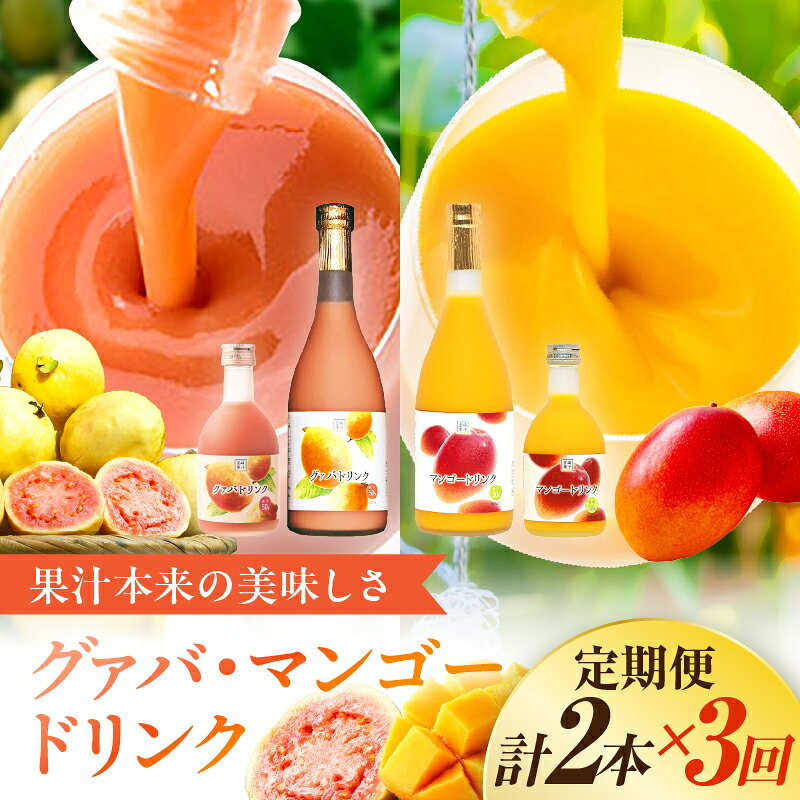 【ふるさと納税】【定期便・全3回】とろーり果実感！グァバ・マンゴードリンク2本セット(各720ml×2本)×3回 ドリンク フルーツドリンク トロピカルジュース 果汁入り飲料 飲み比べ セット 詰め合わせ 贈答 贈り物 ギフト プレゼント お中元 お歳暮 宮崎県 串間市