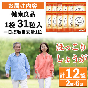 No.1296-B ほっこりしょうが(1袋 31粒入り・2袋×6回)  鹿児島 日置市 健康食品 加工食品 サプリ サプリメント 栄養バランス 食生活 安心安全 定期便 頒布会 【てまひま堂】