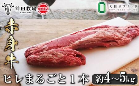 【大田原 前田牧場直送 赤身牛】ヒレまるごと1本（4～5kg） | ブランド牛 牛肉 フィレ ステーキ ヒレ 産地直送 産直