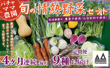 野菜 無農薬 農園自慢の情熱野菜セット 9品 【 4ヶ月 連続 お届け 】