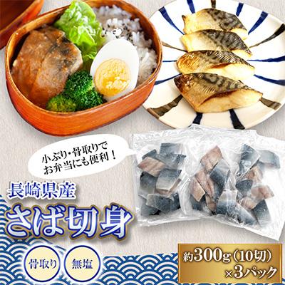ふるさと納税 長崎市 【骨取り】長崎県産さば切身(無塩)約30g×10切れ×3P