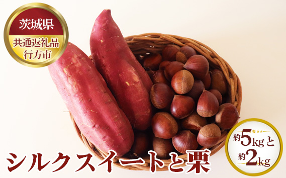 【先行予約】シルクスイート 約5kgと栗 約2kg【茨城県共通返礼品 行方市】
