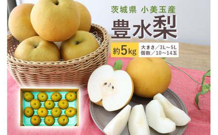 【数量限定 / 夏季限定】 梨（豊水） 約5kg 梨 なし ナシ 日本梨 ほうすい ホウスイ 17-D 【8月下旬～9月上旬発送予定】