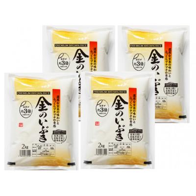 ふるさと納税 横手市 【令和7年産】金のいぶき 8kg(2kg×4袋) |  | 01