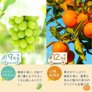 坂出のいいとこどり定期便 【7月・8月・9月・12月・1月・2月】 全6回