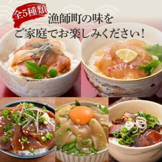 【3回定期便】訳あり土佐の海鮮漬け丼（5種×各2袋）セット 漬け丼の素 タイ 鯛 ブリ 鰤 マグロ 鮪 イカ カツオ 鰹 たたき 新鮮 魚 おかず おつまみ 惣菜 小分け 簡単 訳アリ わけあり_イメ