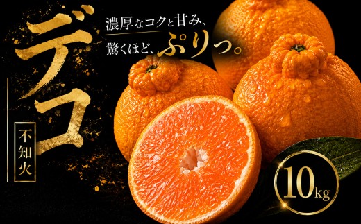【早い者勝ち】 深い甘み 【デコ（不知火）（デコポンと同品種）】10kg 愛媛県産 【2027年1月下旬頃から順次発送】 | でこぽん しらぬい shiranui みかん ミカン mikan 蜜柑 訳ありフルーツ 柑橘 果物 おすすめ お勧め お取り寄せ ギフト 愛媛県 松山市