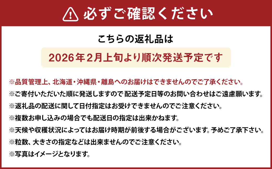 化粧箱入りプレミアムあまおう 約400g×1パック【ギフト・お祝い・贈答用】