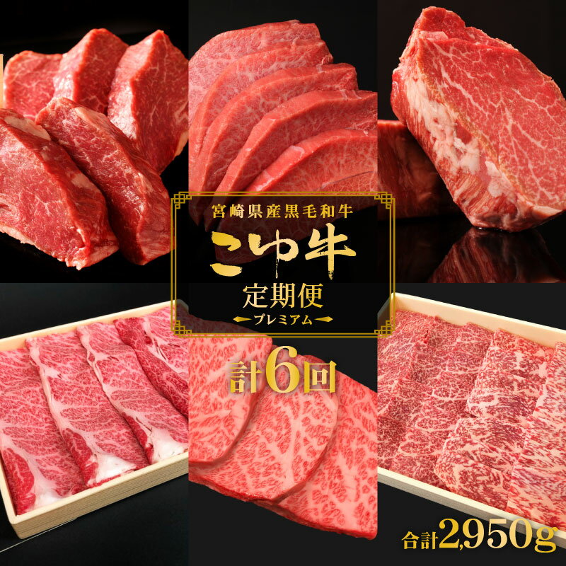 【ふるさと納税】こゆ牛プレミアム定期便＜全6回＞ 1年間 宮崎県産 黒毛和牛 偶数月配送 ※2026年2月開始 シャトーブリアン 希少部位を含む和牛6品