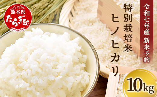 【令和7年 新米予約】特別栽培米「ヒノヒカリ」10kg 精米 井上農園 10月より順次出荷 熊本県 お米 白 米 精米 ひのひかり 国産 114-0601