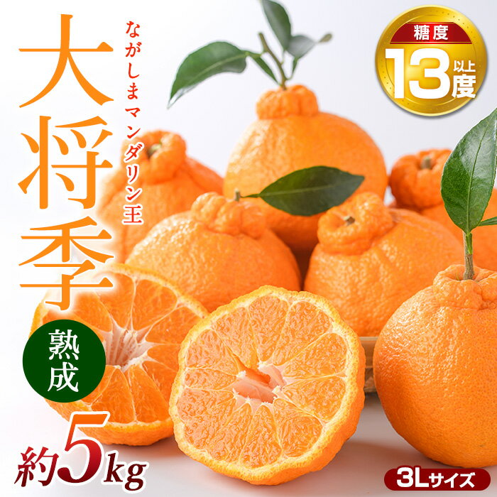 【ふるさと納税】【先行予約】熟成 ながしまマンダリン王(大将季) 約5kg オレンジ と ポンカン の交配 不知火 しらぬい ふるさと納税 みかん 柑橘 果物 フルーツ 国産 ふるさと 人気 ランキング 【ながしまマンダリングループ】mandarin-1505