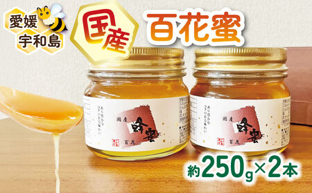＼10営業日以内発送／  国産はちみつ 百花蜜 250g × 2本 セット 宇和島農産 純国産はちみつ 瓶 蜜 人気ハチミツ 国産純粋はちみつ 非加熱 はちみつ 蜂蜜 ハニー 百花蜂蜜 百花はちみつ 純粋はちみつ 生はちみつ 天然はちみつ 産地直送 国産 愛媛 宇和島 F012-132008
