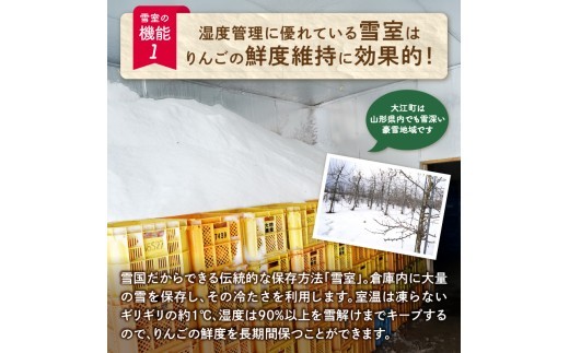 《先行受付》【2027年2月発送予定】 訳あり 雪室りんごサンふじ 約5kg【大江町産・山形りんご・大地農産】