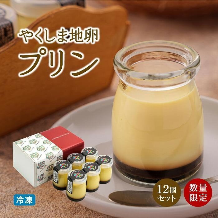 【ふるさと納税】【数量限定】やくしま地卵冷凍プリン 12個セット | 屋久島 スイーツ お菓子 冷凍 プリン ぷりん 卵 楽天ふるさと お取り寄せ おかし お土産 鹿児島県 屋久島町 人気 おすすめ 屋久島ヴィータキッチン
