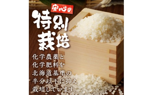 新米【先行受付】令和7年産特別栽培ななつぼし 5kg×2袋 6ヶ