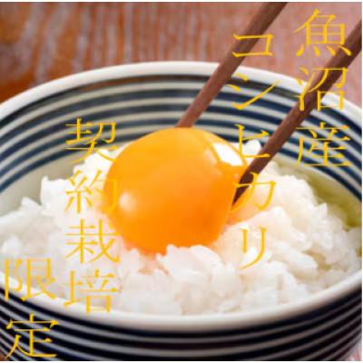ふるさと納税 魚沼市 【令和8年産　先行受付】【雪国逸品　精米5kg】越後魚沼郷　魚沼産コシヒカリ |  | 01