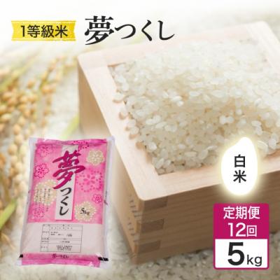 ふるさと納税 小郡市 定期便12回 1等級米 夢つくし 白米 5kg[No5354-2370]