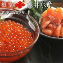 【ふるさと納税】[北海道根室産]＜鮭匠ふじい＞いくら・サーモン親子丼の具 C-42012