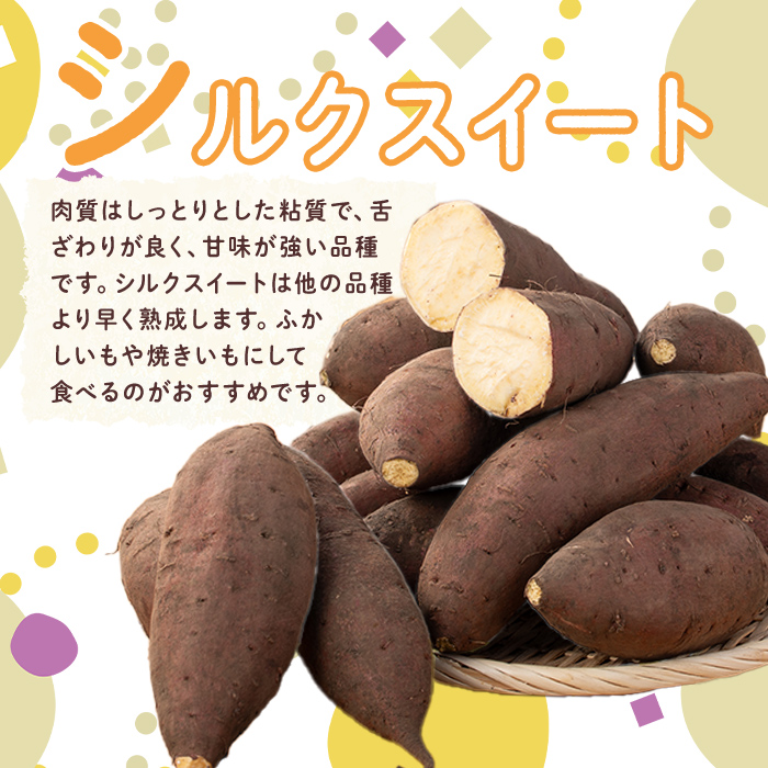 【数量限定企画実施中！】＜2025年11月上旬より順次発送予定！＞【訳あり】鹿児島県産サツマイモ「シルクスイート」(計5.5kg) 鹿児島県産 さつまいも さつま芋 【みやびファーム】 A460-v0