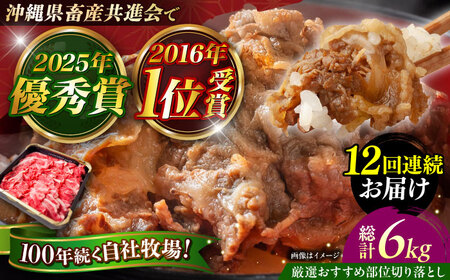 牛肉 焼肉 【全12回定期便】【厳選！おすすめ部位】沖縄和牛 佐渡山牛 切り落とし 500g  BCBC010