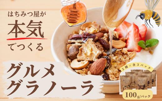 
グラノーラ 無添加 国産はちみつ使用 【ノラノーラ ミケ&クロ】ココナッツ・ショコラ ギフト包装 6袋セット（100g×6） A-MT-A06A
