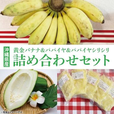 ふるさと納税 豊見城市 琉球黄金バナナ・パパイヤ・パパイヤシリシリの詰め合わせセット