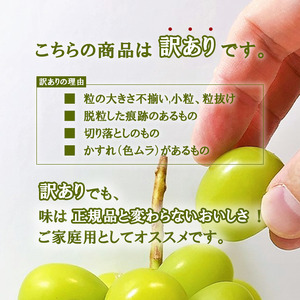 訳あり桃×訳ありシャインマスカット　1.5㎏～2㎏　桃1㎏以上～　シャインマスカット500g以上154-048