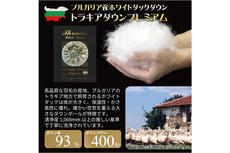 訳あり 羽毛布団 セミダブル 冬用 色柄おまかせ 本掛け 80番手サテン  数量限定｜