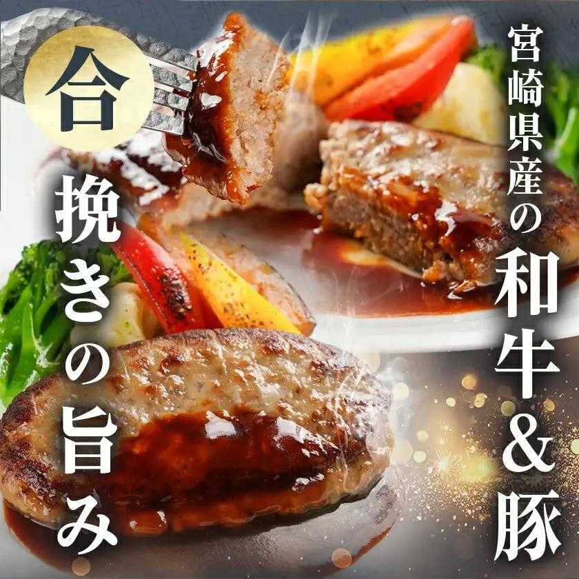 一口チキン南蛮&和牛入り合挽ハンバーグセット〔AA-9236〕
