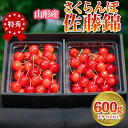 【ふるさと納税】さくらんぼ 「佐藤錦」 600g 特秀品 Lサイズ以上 山形産 【令和7年産先行予約】 FS24-031 くだもの 果物 フルーツ 山形 山形県 山形市 2025年産